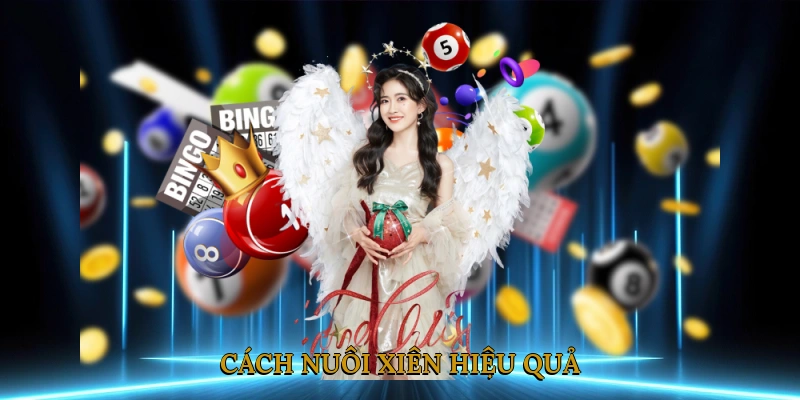 Cách nuôi xiên hiệu quả